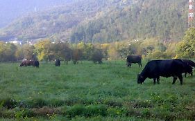 Agriturismo Biobio